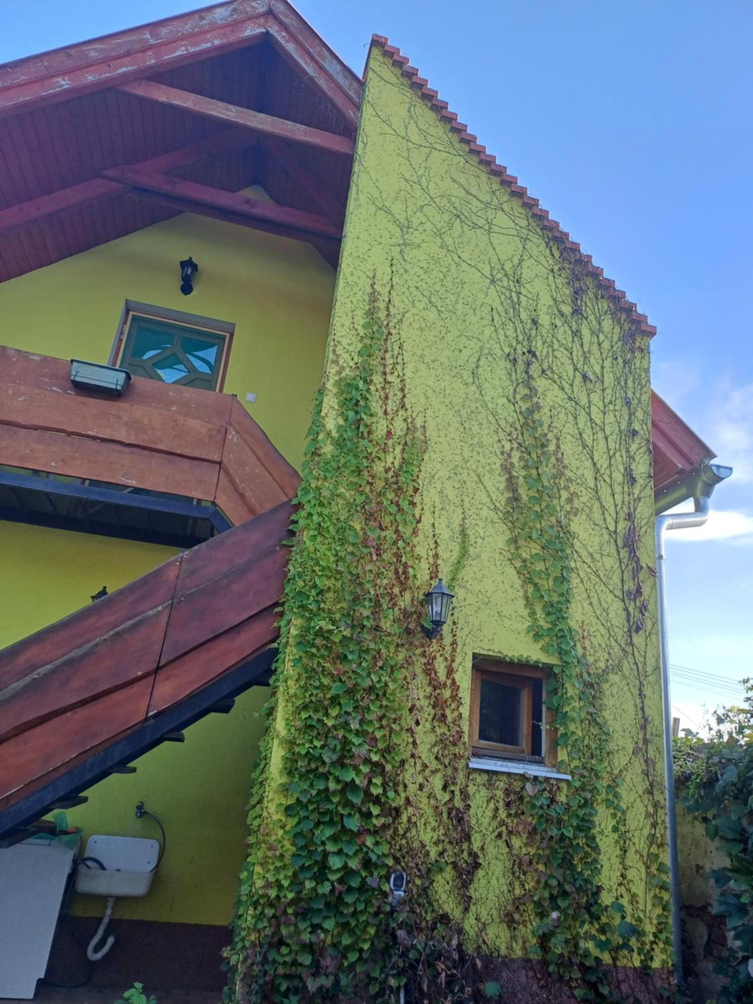 Zanati Apartmannhaz Nagykapornak Екстериор снимка