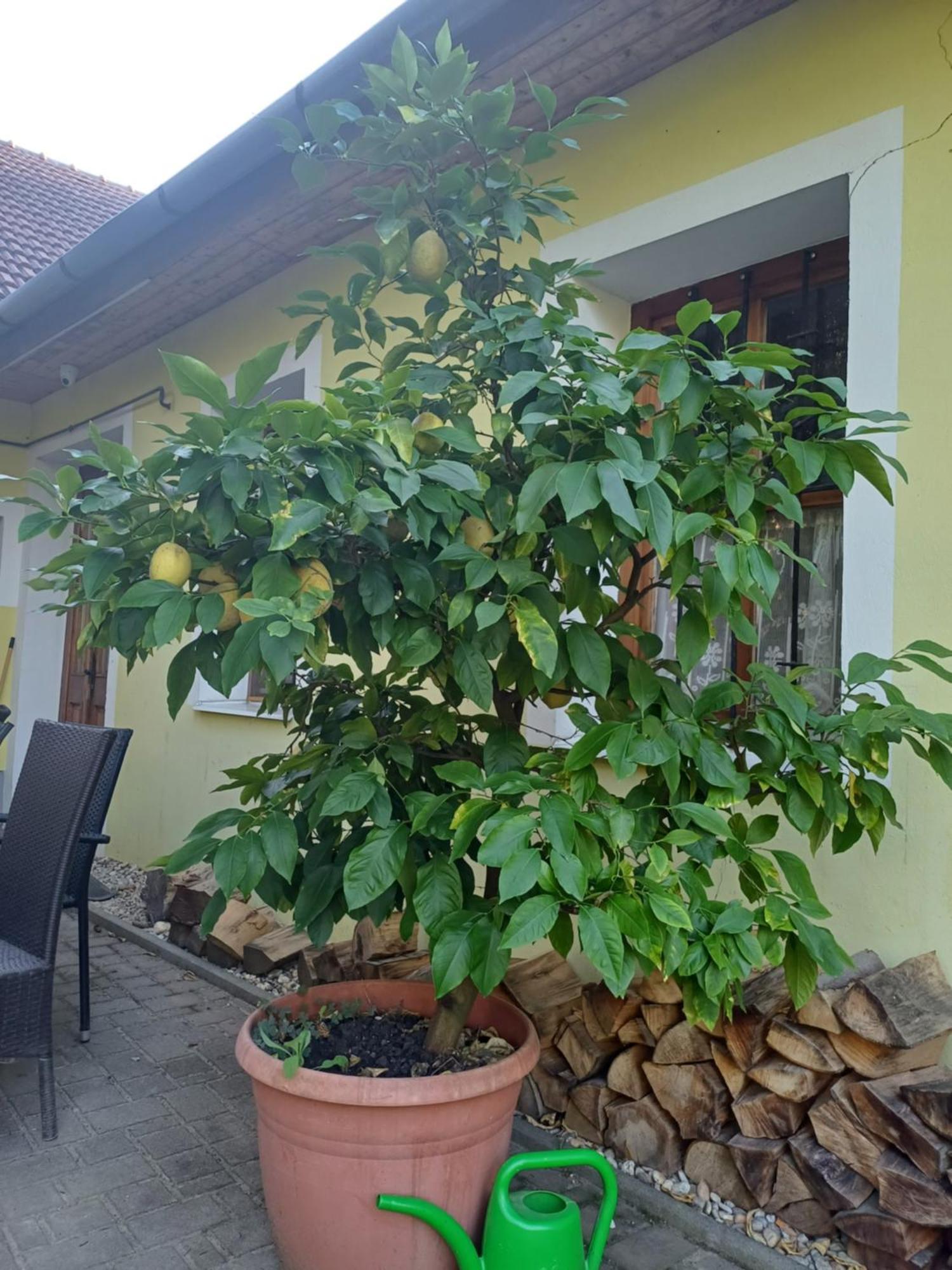 Zanati Apartmannhaz Nagykapornak Екстериор снимка